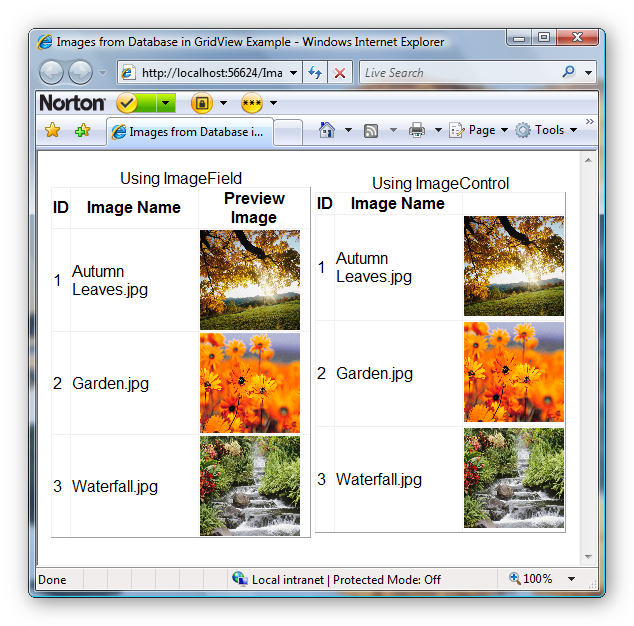 GridView : Displaying images from DataBase