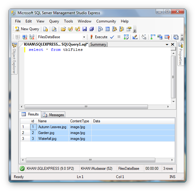 Images stored in binary format in database